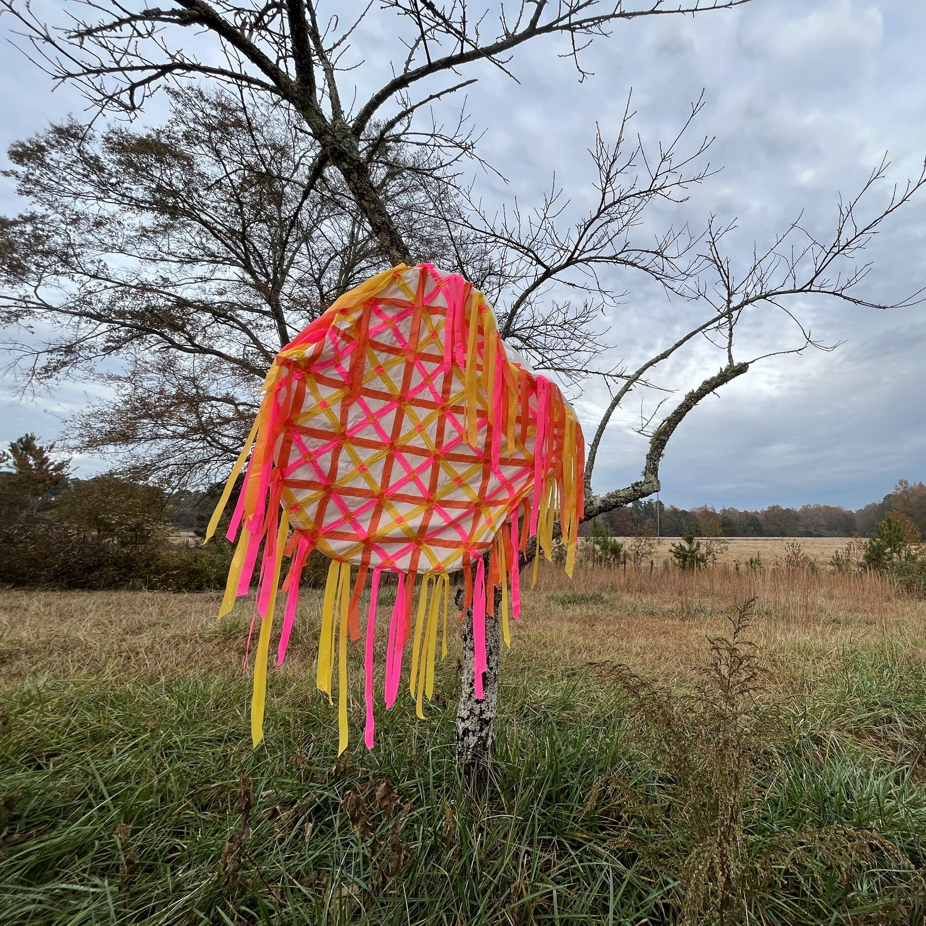 Katrina Ohstrom |  Swannatopia